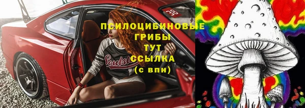 стаф Алексин