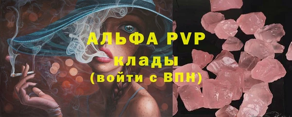 стаф Алексин